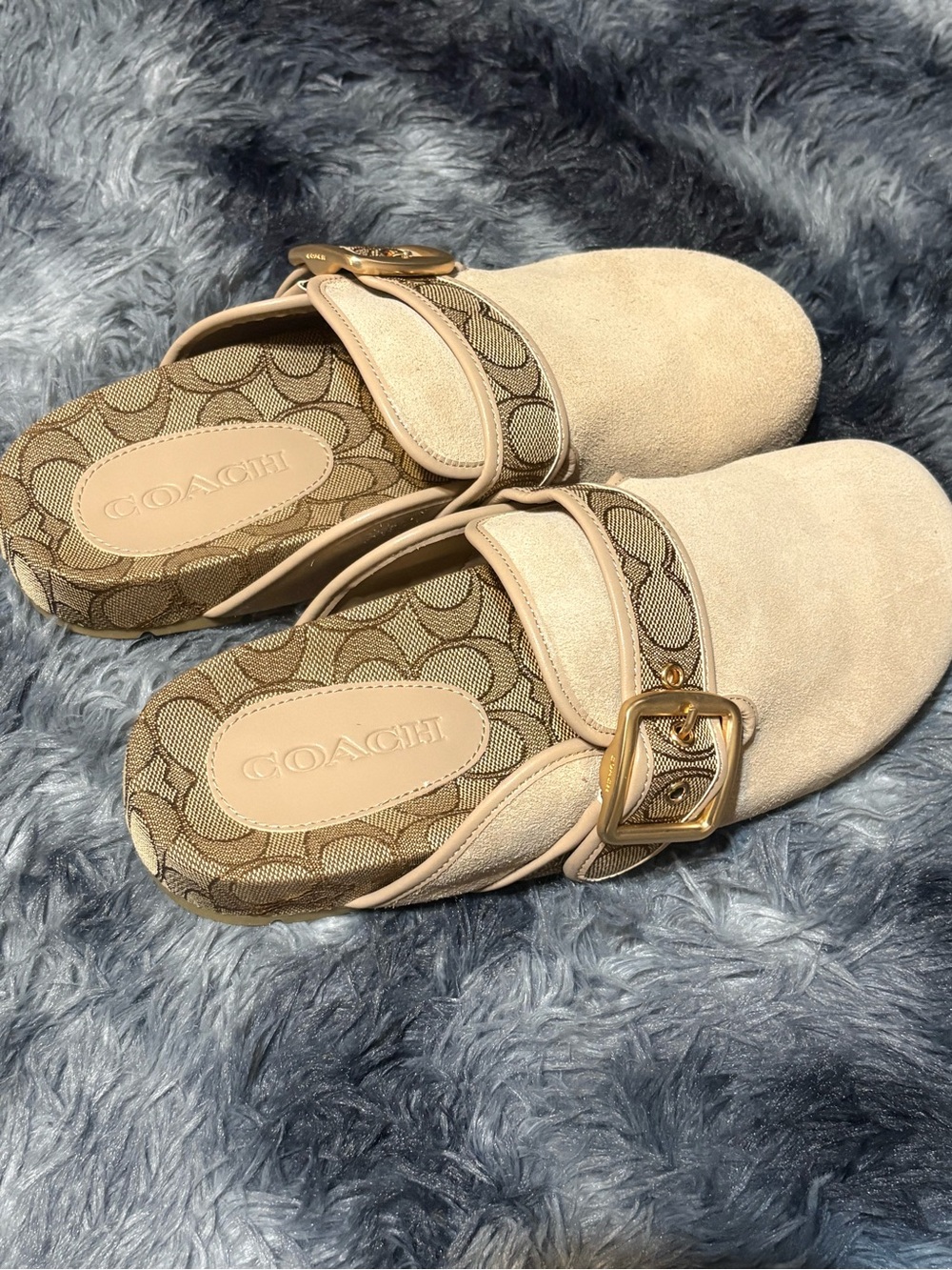 Archival Buckle Clog - Picture 3 of 7